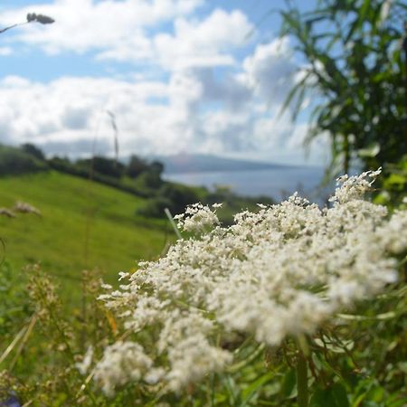 Conceicao Vista Do Pilarアパートメント エクステリア 写真