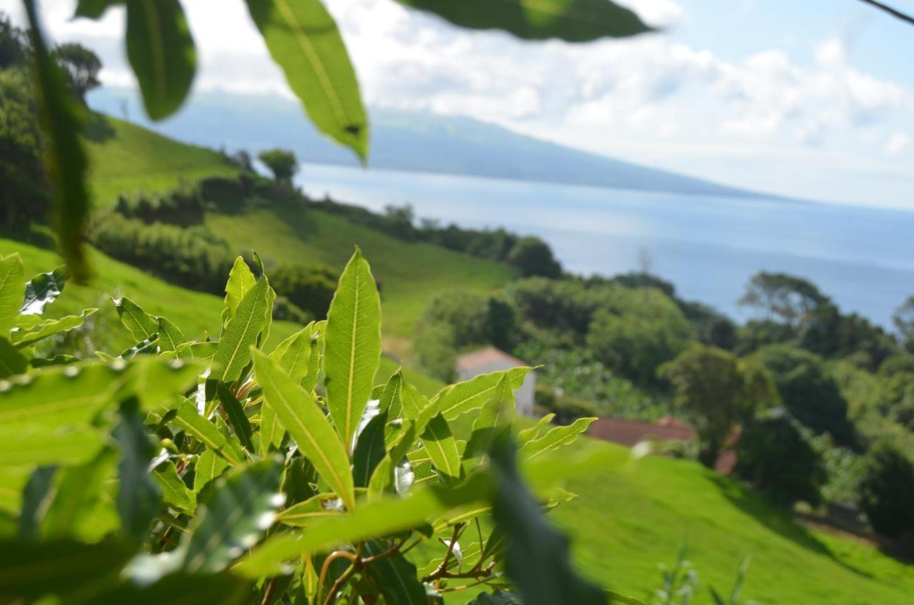 Conceicao Vista Do Pilarアパートメント エクステリア 写真